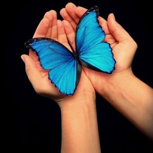 Meet your Posher, Angélica